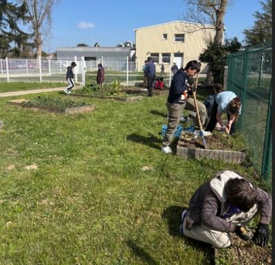 Capture d’écran 2026-03-19 143428.jpg